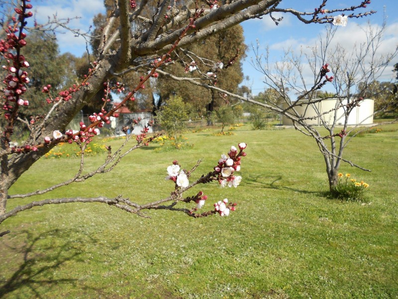 Knowsley VIC 3523
