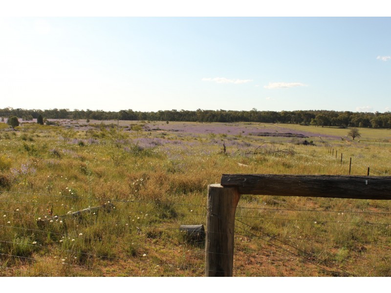 90R Mendooran Road, Dubbo NSW 2830