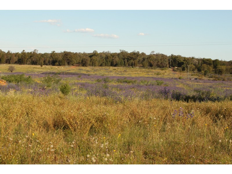 90R Mendooran Road, Dubbo NSW 2830