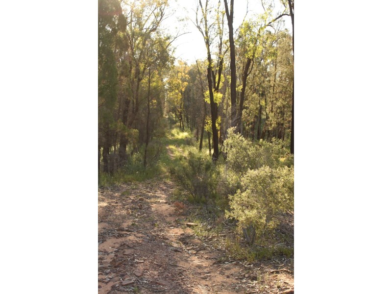 90R Mendooran Road, Dubbo NSW 2830