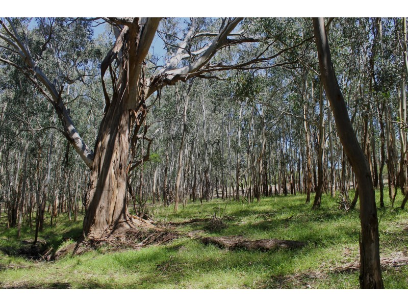 Lot CA 1B,, Section 1, Little Plain Road, Valencia Creek VIC 3860