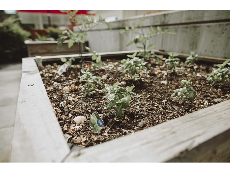 210/24 Girrahween Street, Braddon ACT 2612