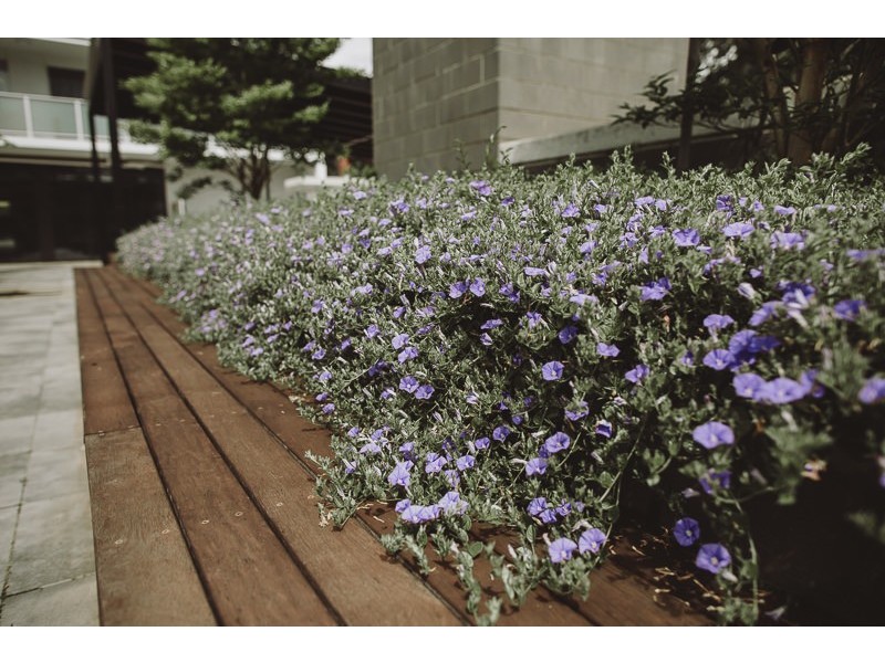 210/24 Girrahween Street, Braddon ACT 2612