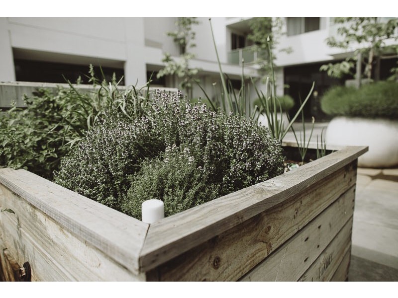 210/24 Girrahween Street, Braddon ACT 2612