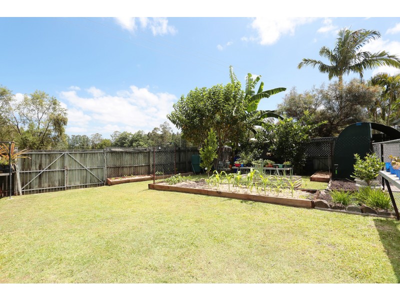 3 McCall Place, Bli Bli QLD 4560