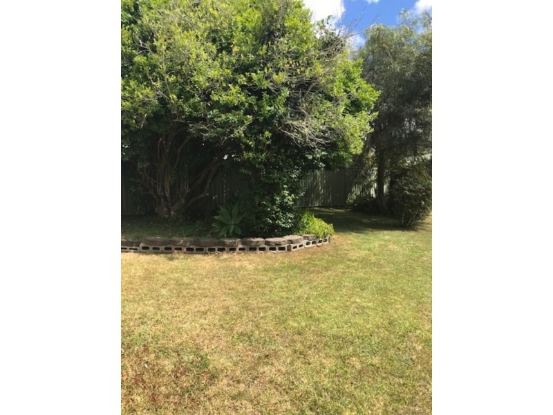 10 Lloyds Road, Springbrook QLD 4213