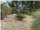 50 Yeedong Road, Falcon WA 6210