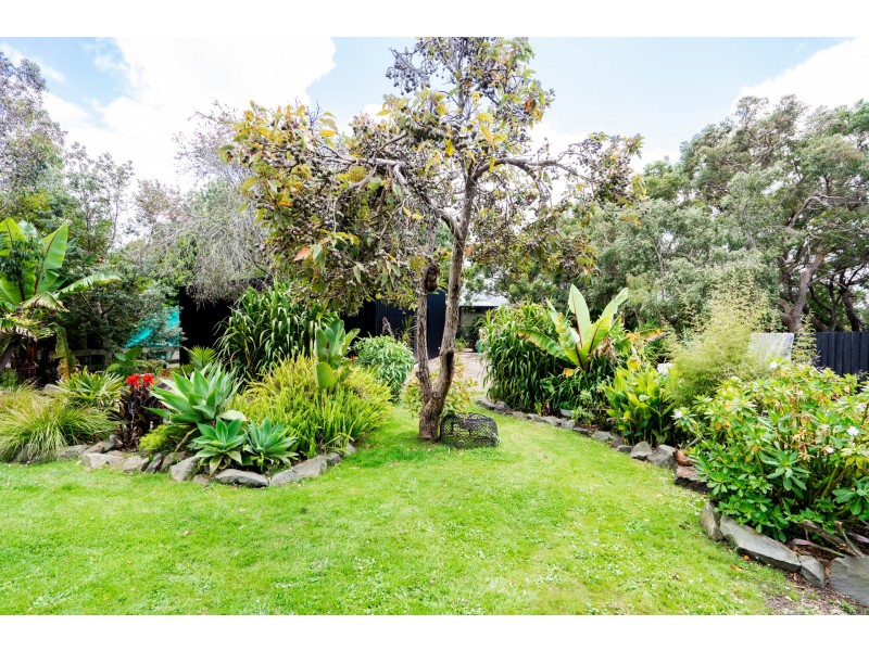 10 Newcombe Street, Marengo VIC 3233