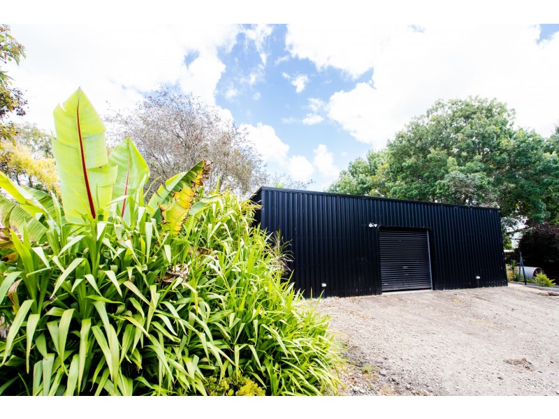 10 Newcombe Street, Marengo VIC 3233