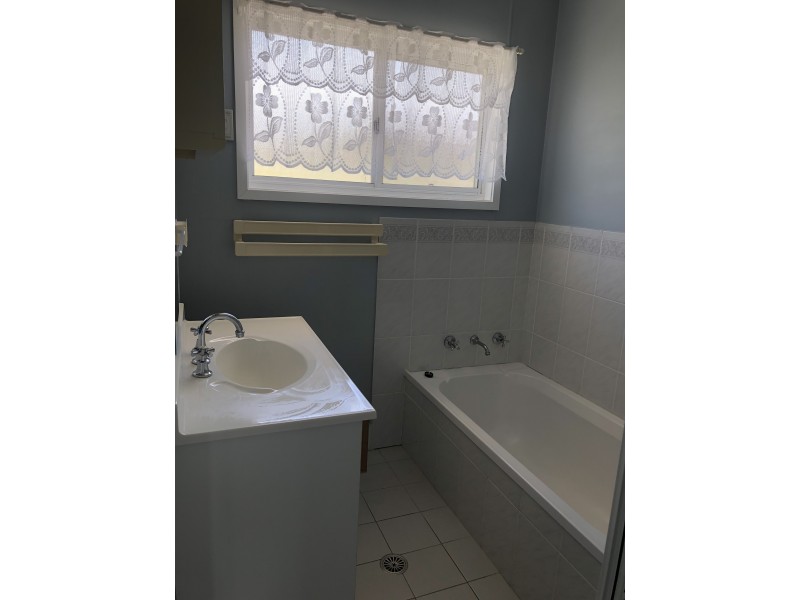 20 Potter Avenue, Emmaville NSW 2371