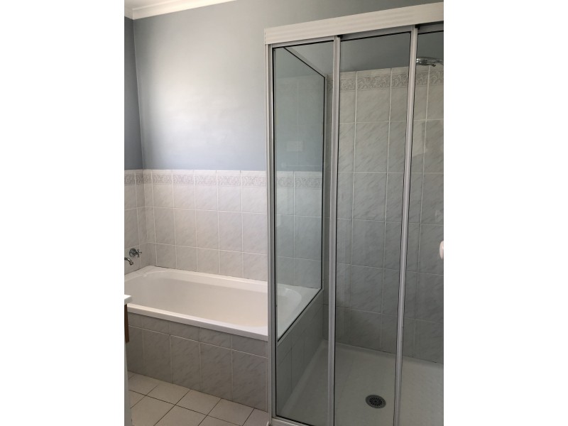 20 Potter Avenue, Emmaville NSW 2371