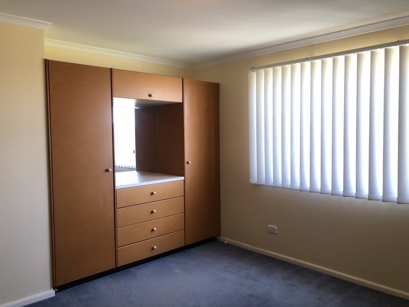 20 Potter Avenue, Emmaville NSW 2371