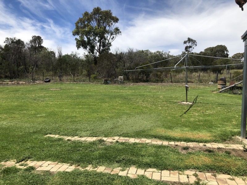 20 Potter Avenue, Emmaville NSW 2371