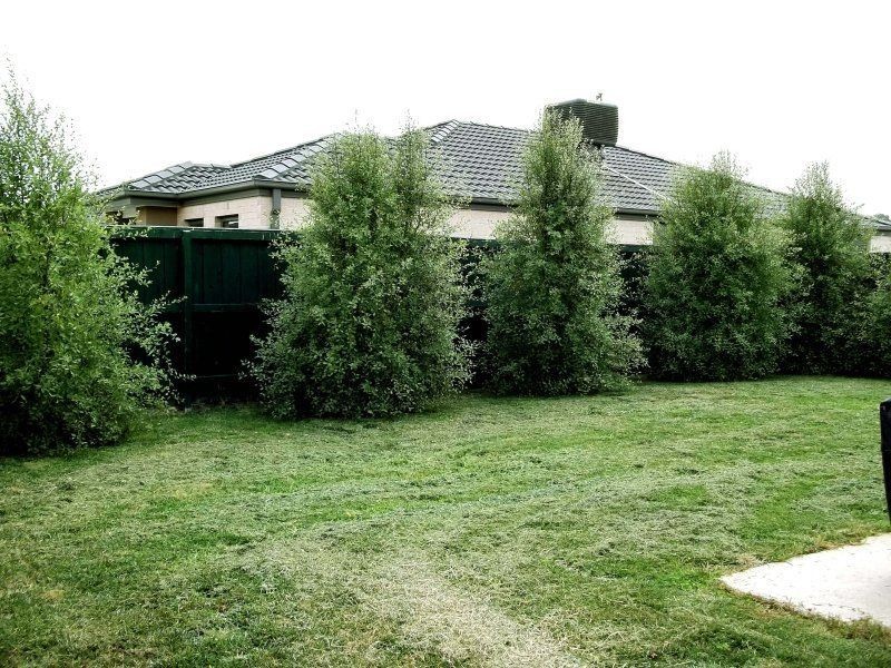 11 Mirabelle Street, Pakenham VIC 3810