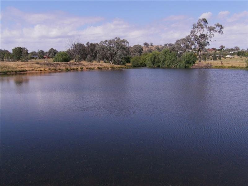 52 Himalaya Drive, Albury NSW 2640