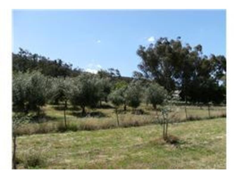 31 Omaru Road, Wangaratta South VIC 3678