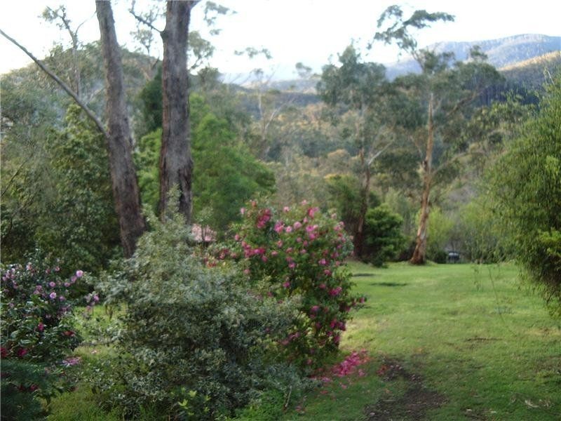 503 Maroondah Highway, Healesville VIC 3777