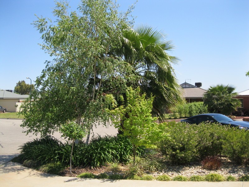 38 Olympic Way, Mildura VIC 3500