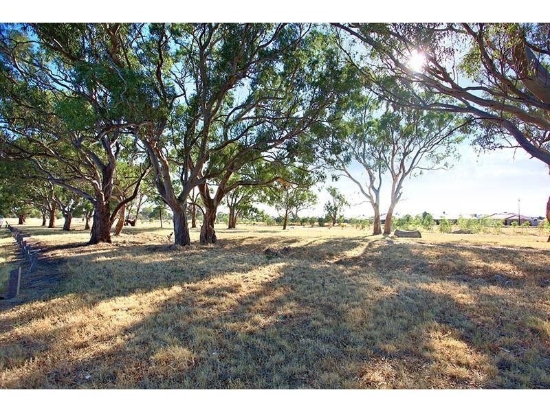 19 Goulburn Street, Mernda VIC 3754