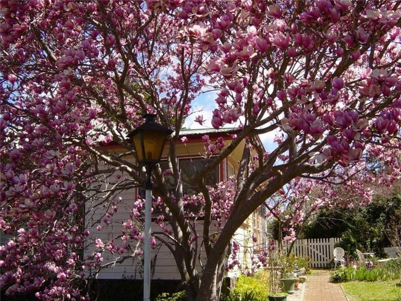 88 Macquarie Street, Glen Innes NSW 2370