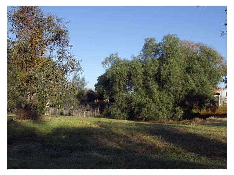 7 Mountview Crescent, Oxley Vale NSW 2340