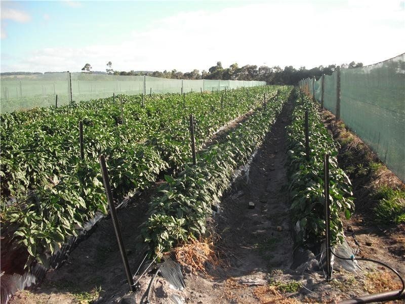 3526 Lower Denmark Road, Youngs Siding WA 6330