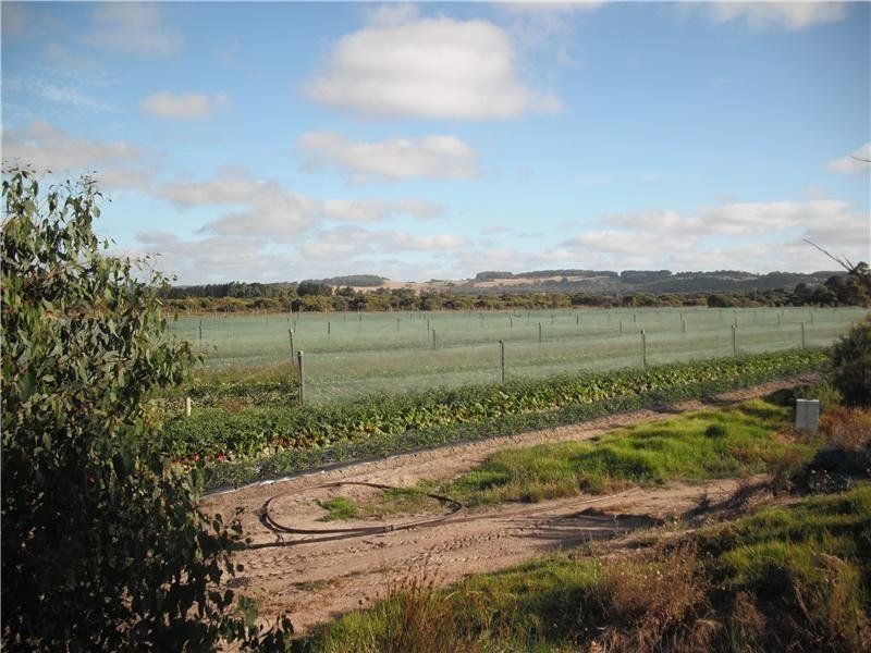 3526 Lower Denmark Road, Youngs Siding WA 6330