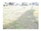190 Lakeside Avenue, Springfield Lakes QLD 4300
