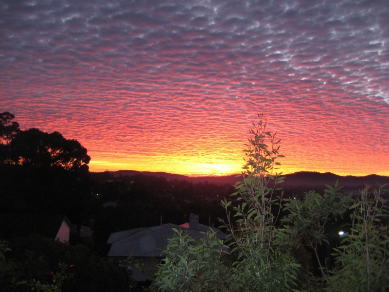 100 Hoff St, Mount Gravatt East QLD 4122