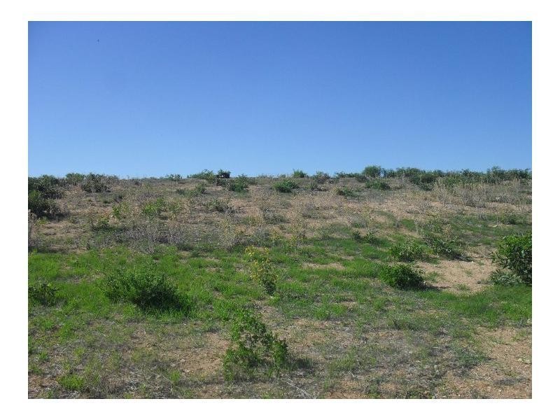 4 Misto Way, Sunset Beach WA 6530