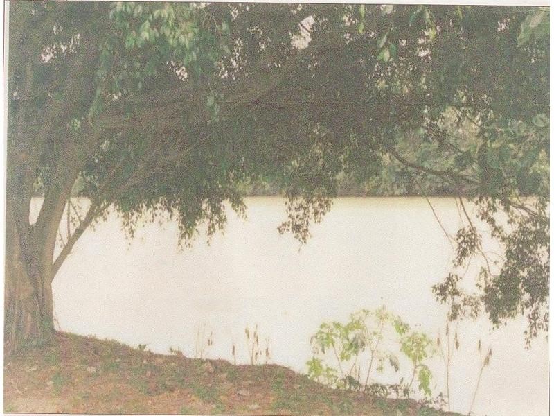 102 Eddleston Drive, CORDELIA, Lucinda QLD 4850