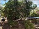 14 Fernald Avenue, Anglesea VIC 3230