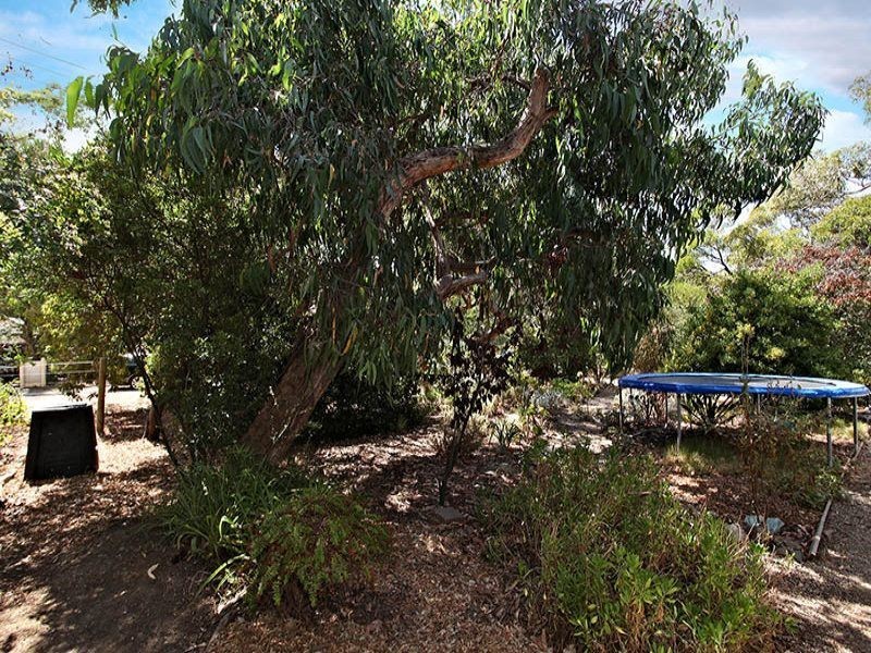 14 Fernald Avenue, Anglesea VIC 3230