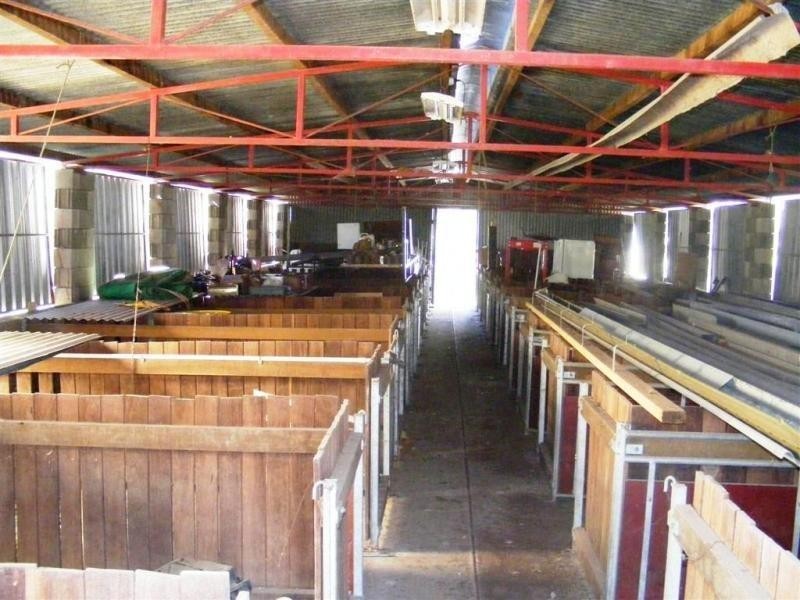 2558 Gwydir Hwy, Ramornie NSW 2460