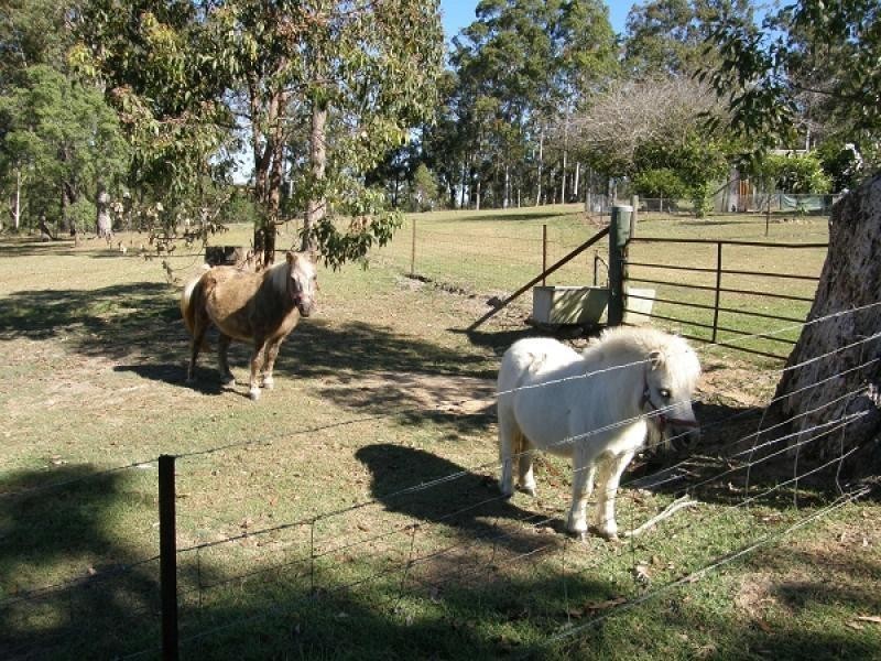 2558 Gwydir Hwy, Ramornie NSW 2460