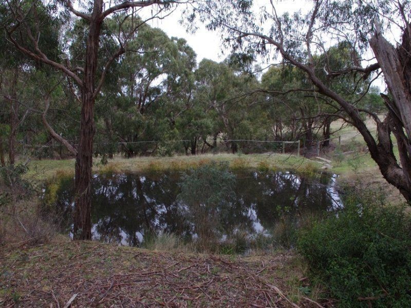 19 Combridge Drive, Beremboke VIC 3342