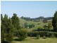 310 Maher Lane, Central Tilba NSW 2546
