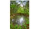 38 Eugenia Road, Forest Glen QLD 4556