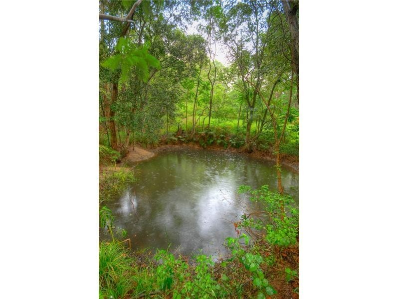 38 Eugenia Road, Forest Glen QLD 4556