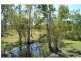 295 Ocean Parade, Balgal Beach QLD 4816