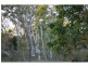 295 Ocean Parade, Balgal Beach QLD 4816