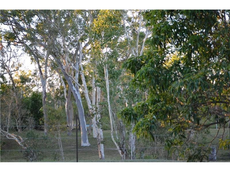 295 Ocean Parade, Balgal Beach QLD 4816