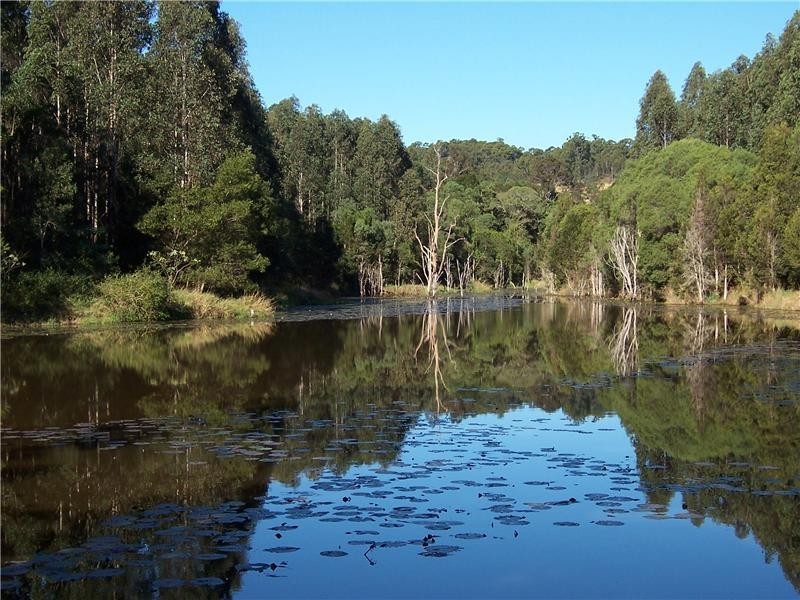 94 Langley Road, Veteran QLD 4570