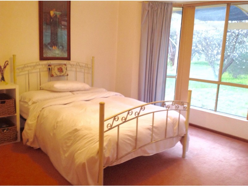 111 Julian Road, Macdonald Park SA 5121