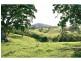 1226 Taylors Arm Road, Utungun NSW 2447