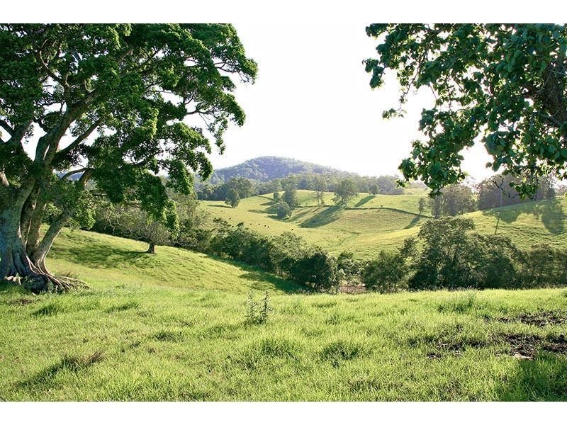 1226 Taylors Arm Road, Utungun NSW 2447