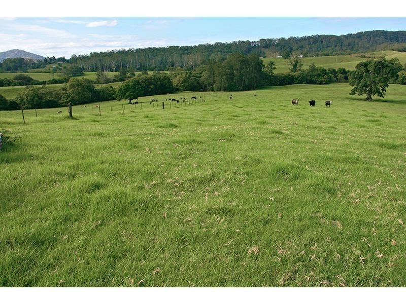 1226 Taylors Arm Road, Utungun NSW 2447