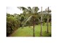 43 Mission Drive, South Mission Beach QLD 4852