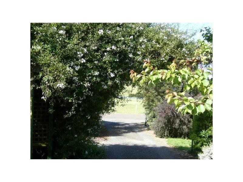 51 West Minstone Road, Scottsdale TAS 7260