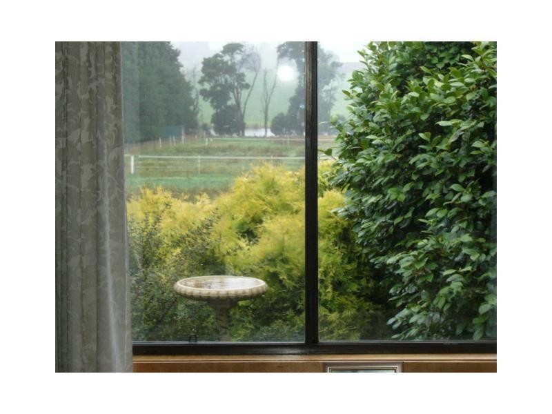 51 West Minstone Road, Scottsdale TAS 7260